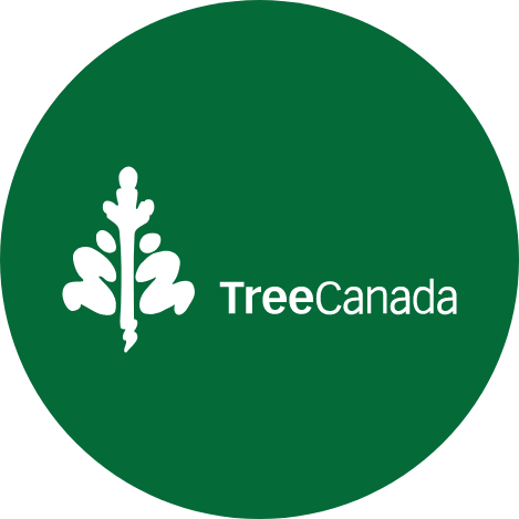 Arbres Canada