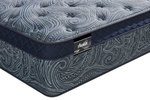 Matelas luxueux ferme à Euro-plateau Austin de Springwall pour lit double