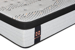 Matelas luxueux ferme à Euro-plateau Bronson PosturepedicMD Plus de série 1000 de Sealy pour lit double