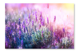  Lavender Flowers Field 24 po x 36 po : Cadre d'art mural et panneau de tissu