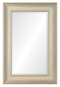  Miroir champagne luxueux - 24 po x 36 po 