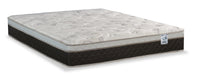  Matelas à Euro-plateau Pisa II de Springwall pour très grand lit